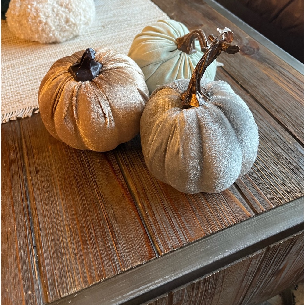 Set of three velvety pumpkins